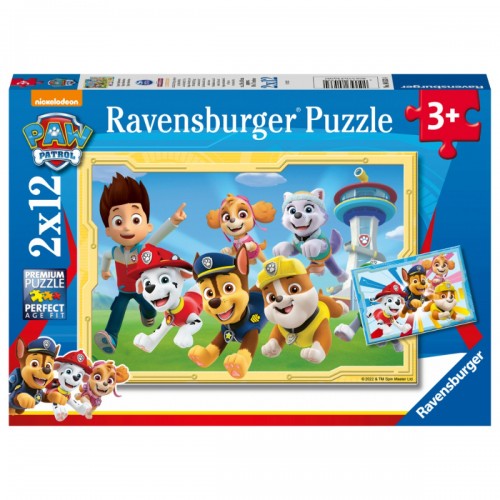 Paw Patrol Super Sleuths...