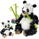 Wild Animals: Panda Family