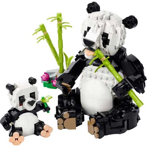 Wild Animals: Panda Family