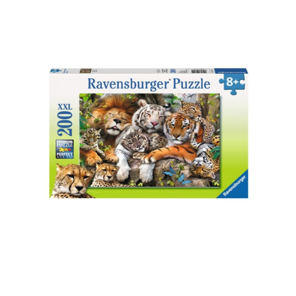 big cat nap puzzle