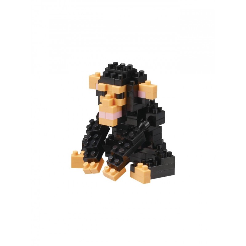 Chimpanzee