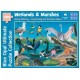 Wetlands and Marshes -...