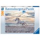 Ravensburger - Evening...